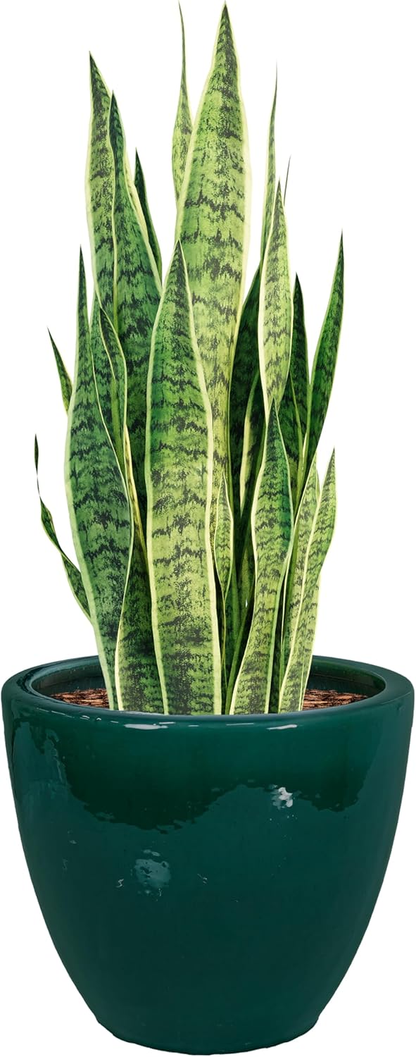 🌿 Elegant Ceramic Planter with Drainage – Indoor & Outdoor Perfect Plant Pot 🌸✨