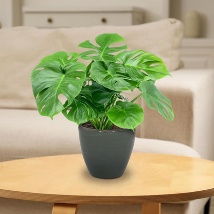🌿 Elegant Ceramic Planter with Drainage – Indoor & Outdoor Perfect Plant Pot 🌸✨