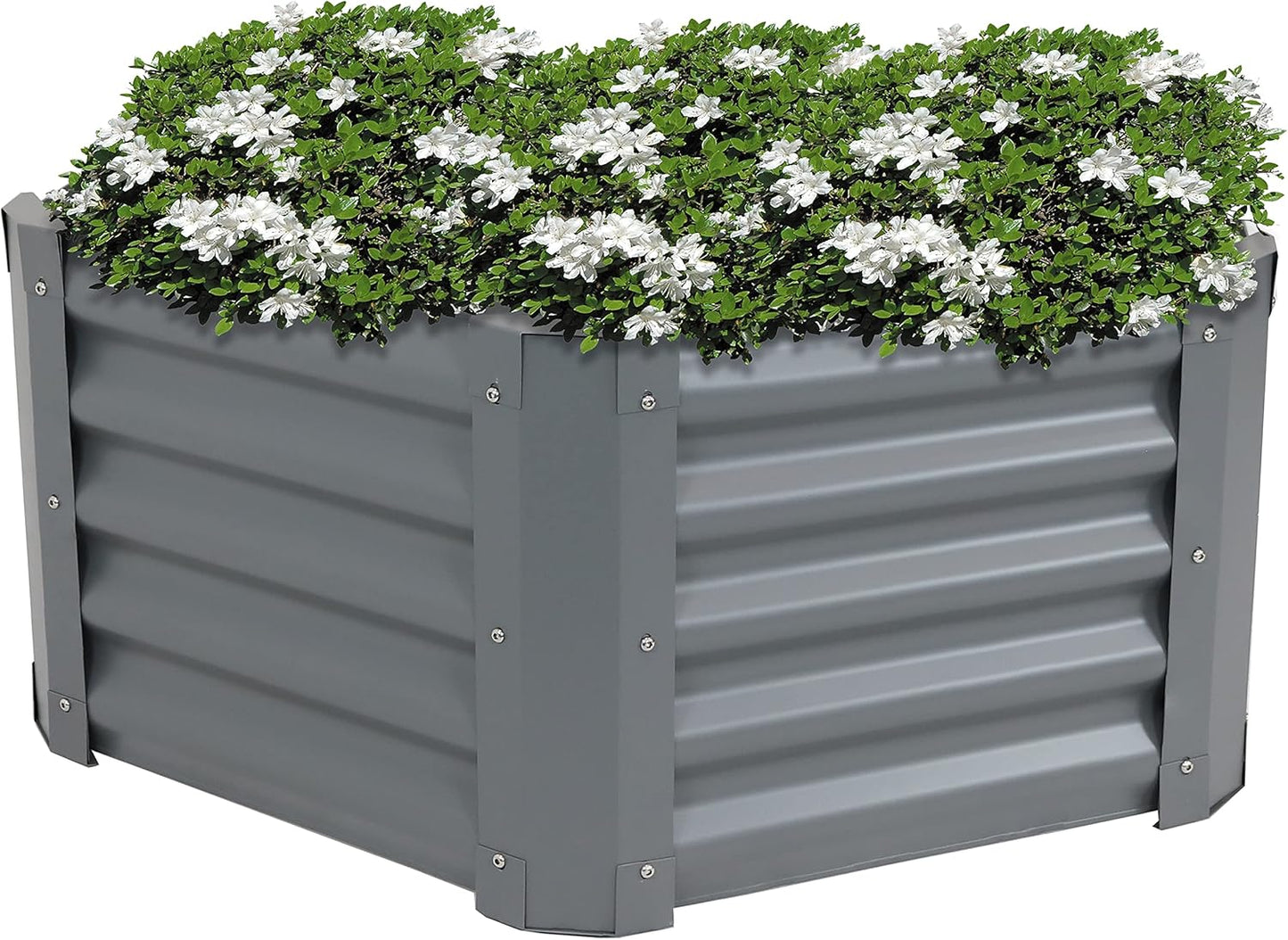 🌱 Elevated Metal Garden Bed – Stylish Raised Planter for Flowers & Veggies 🌼🍅